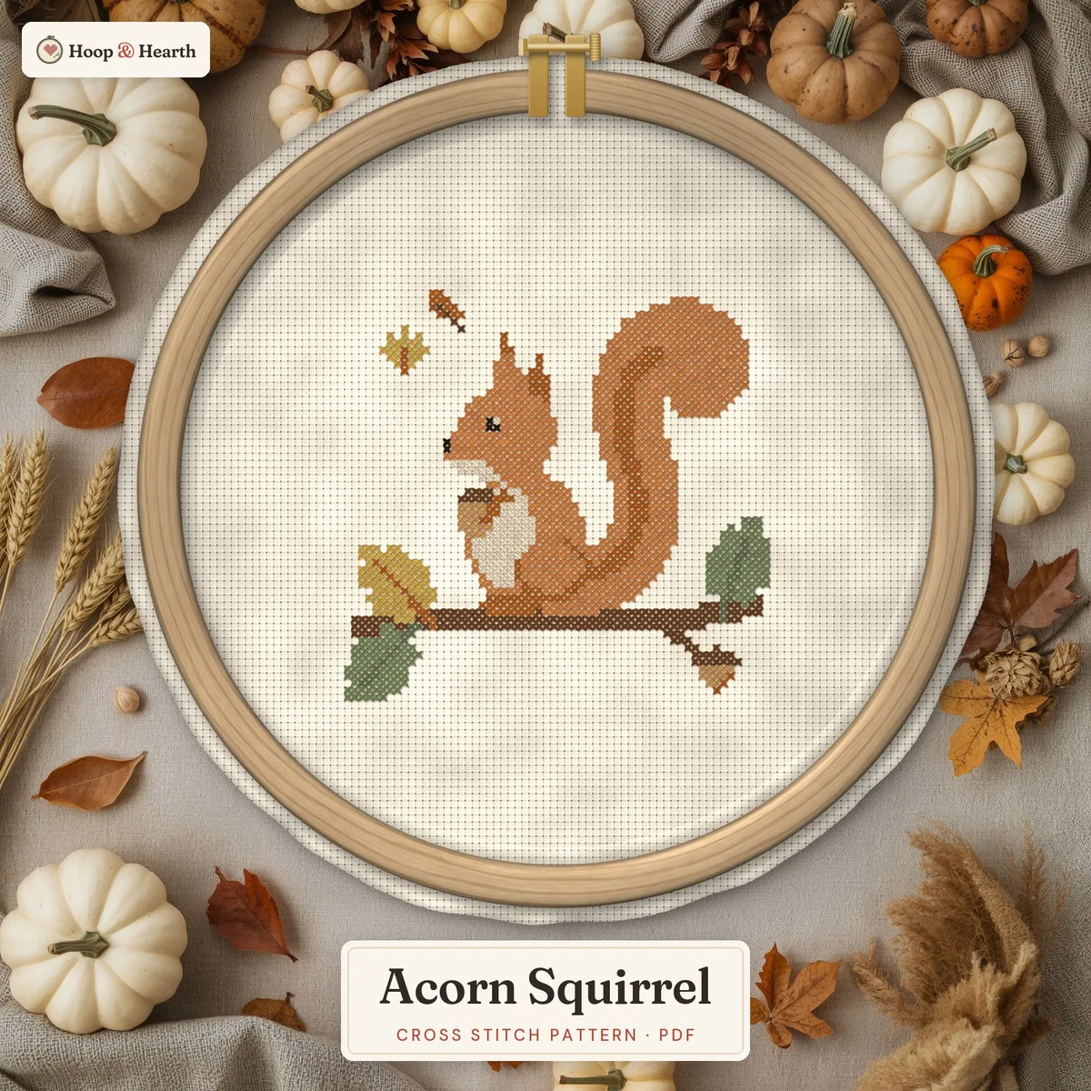 Acorn Squirrel – cover image