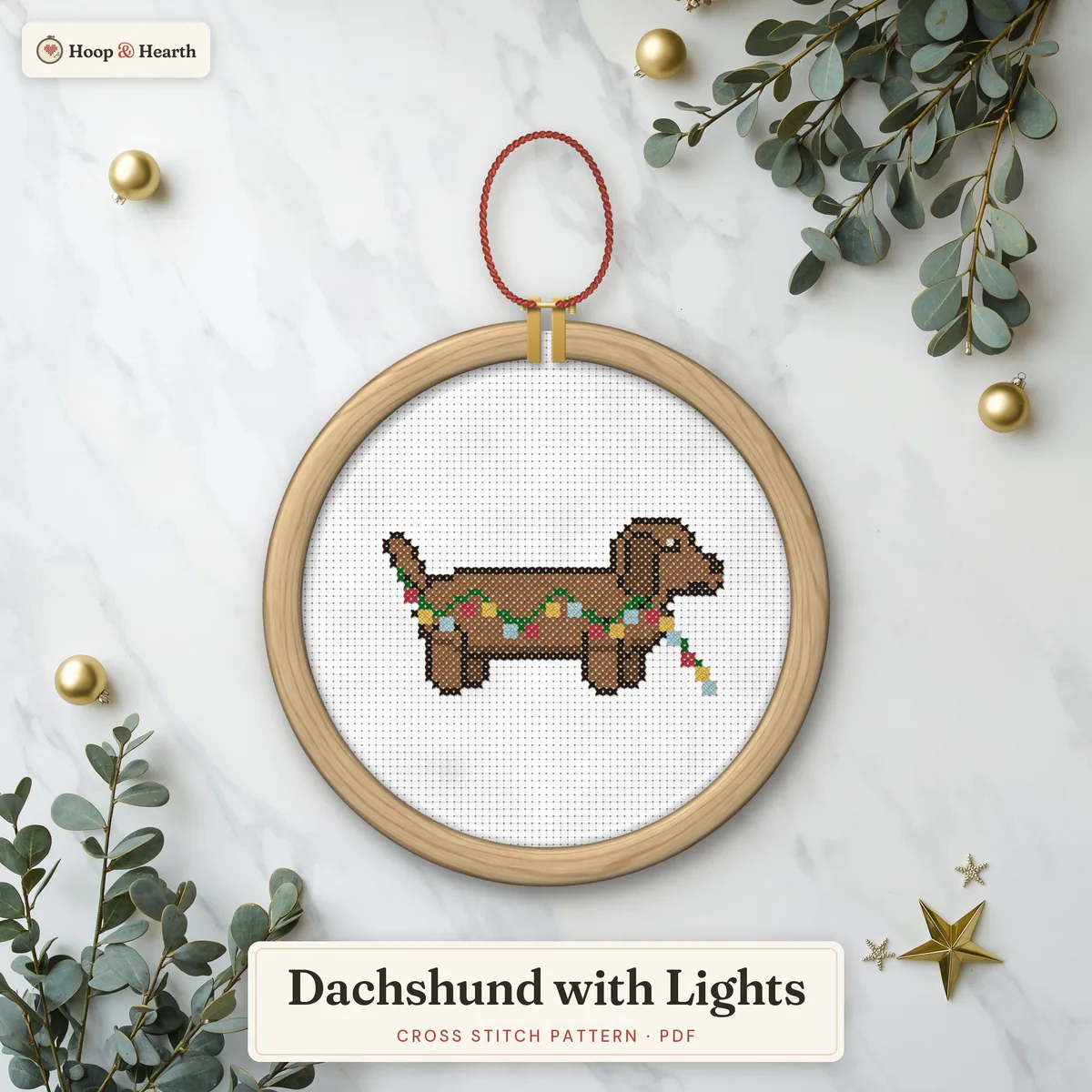 Dachshund with Lights – cover image