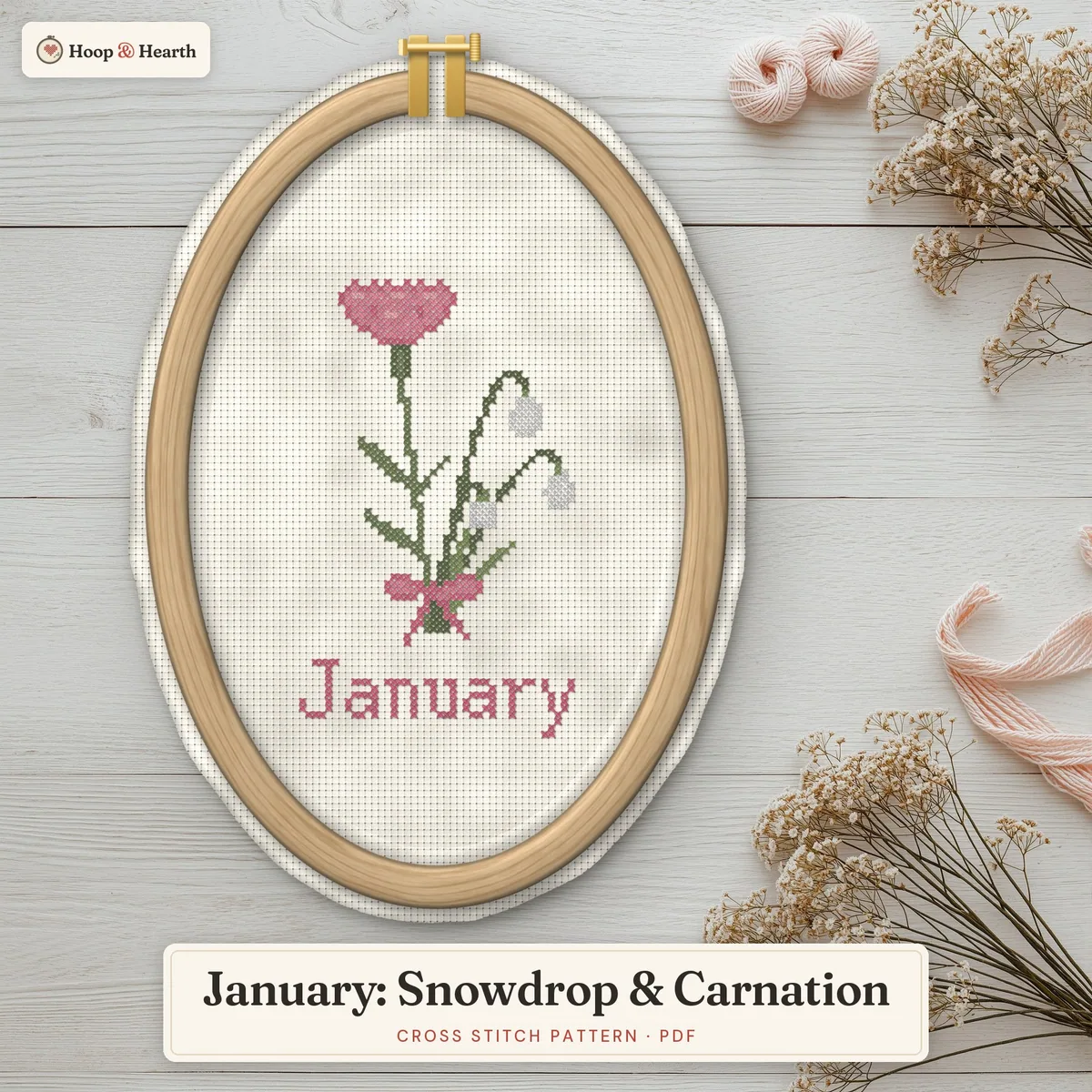 January: Snowdrop & Carnation – cover image