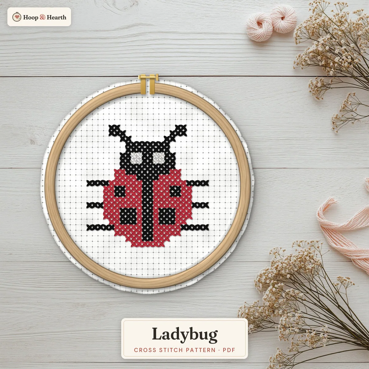 Ladybug – cover image