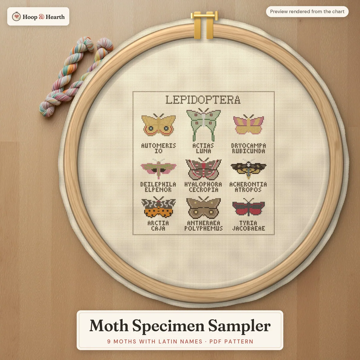 Moth Specimen Sampler – cover image