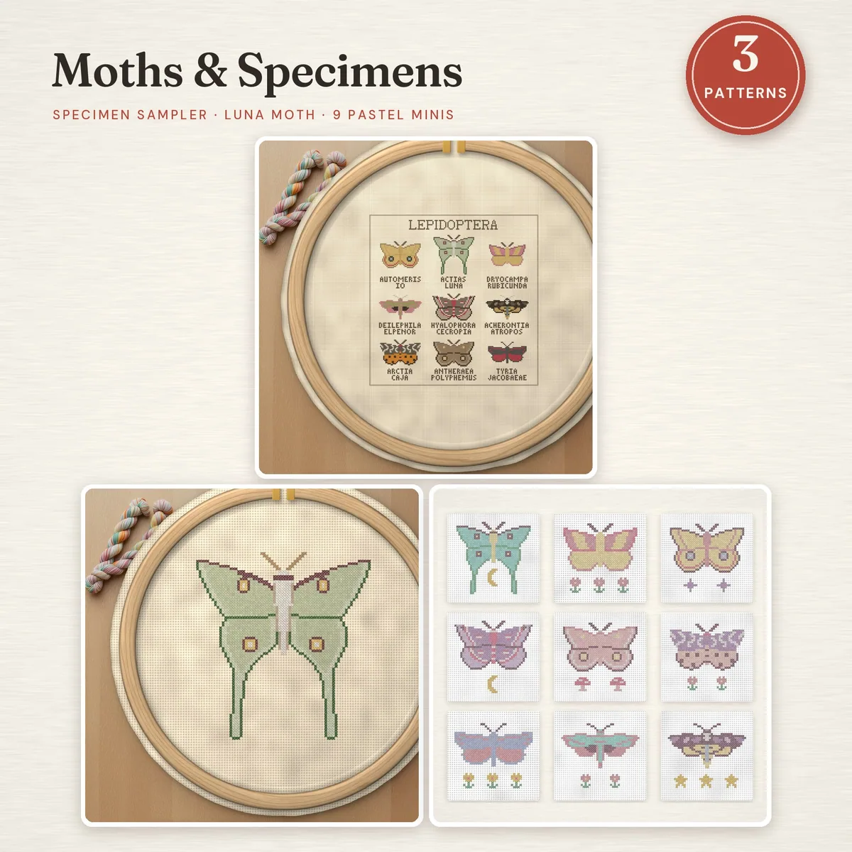 Moths & Specimens Bundle – cover image