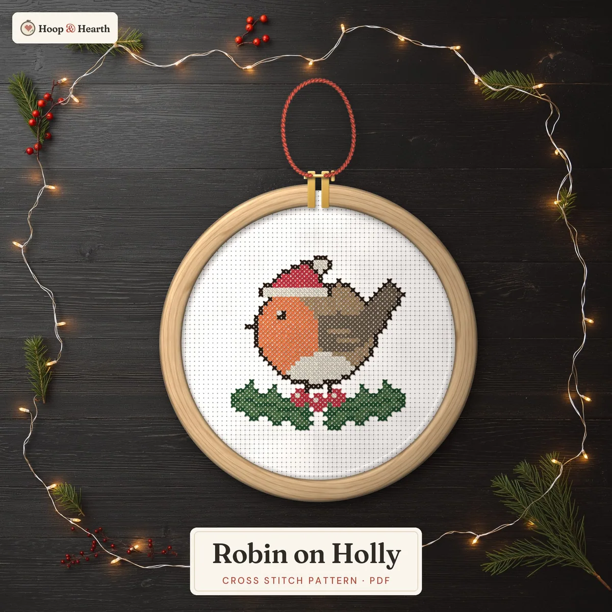 Robin on Holly – cover image